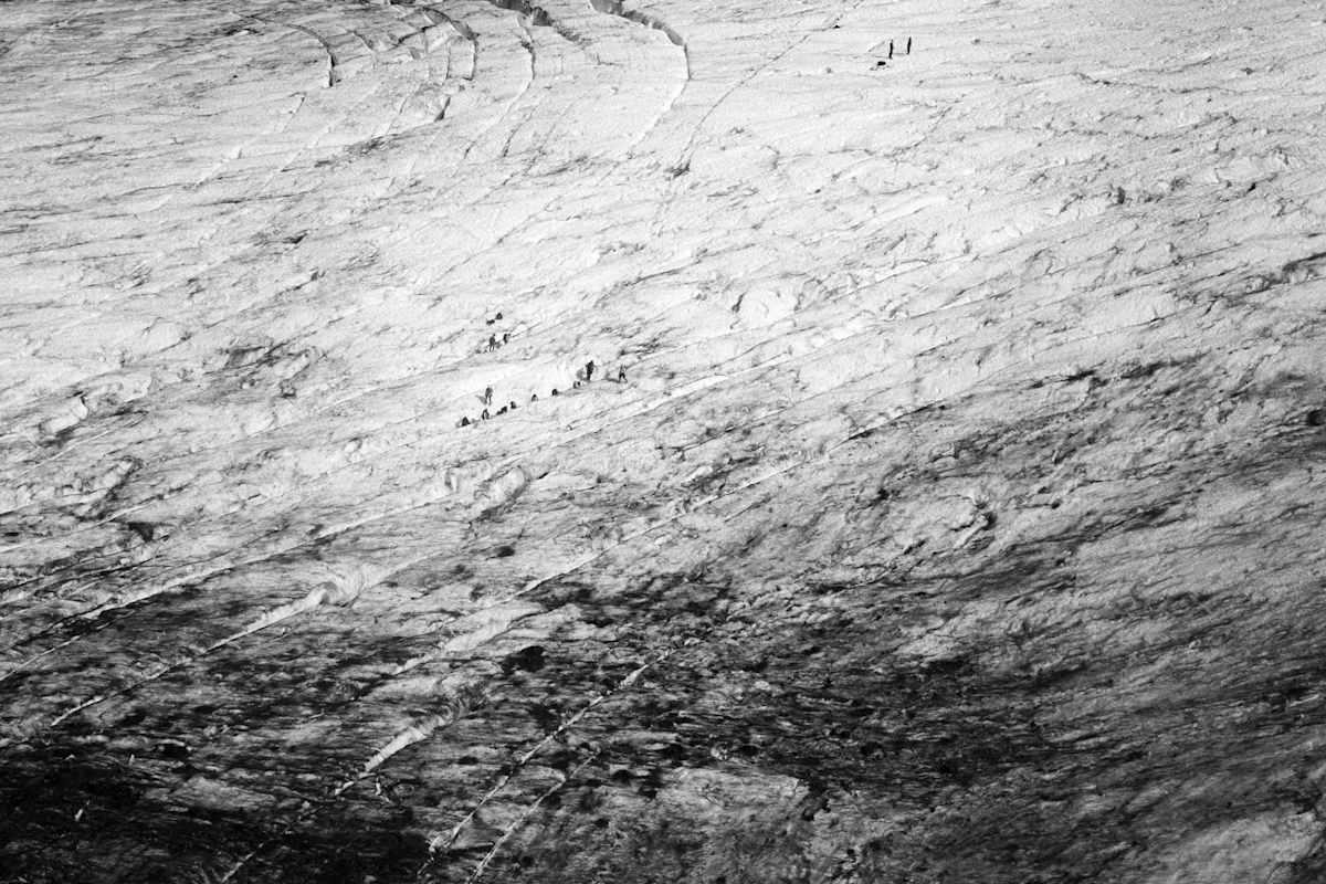 Coleman Mountaineers by Ari Madian 