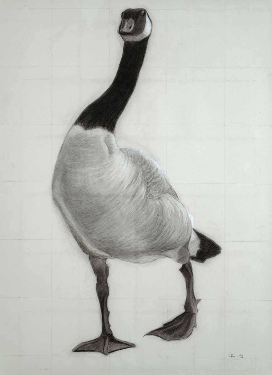 Impudent Goose by Kathy Roseth 