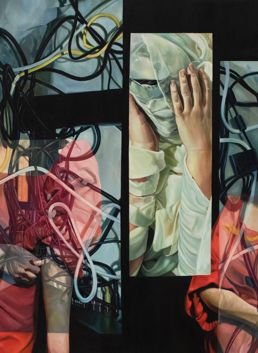 Hazzard Zone by Sarah Barnett 