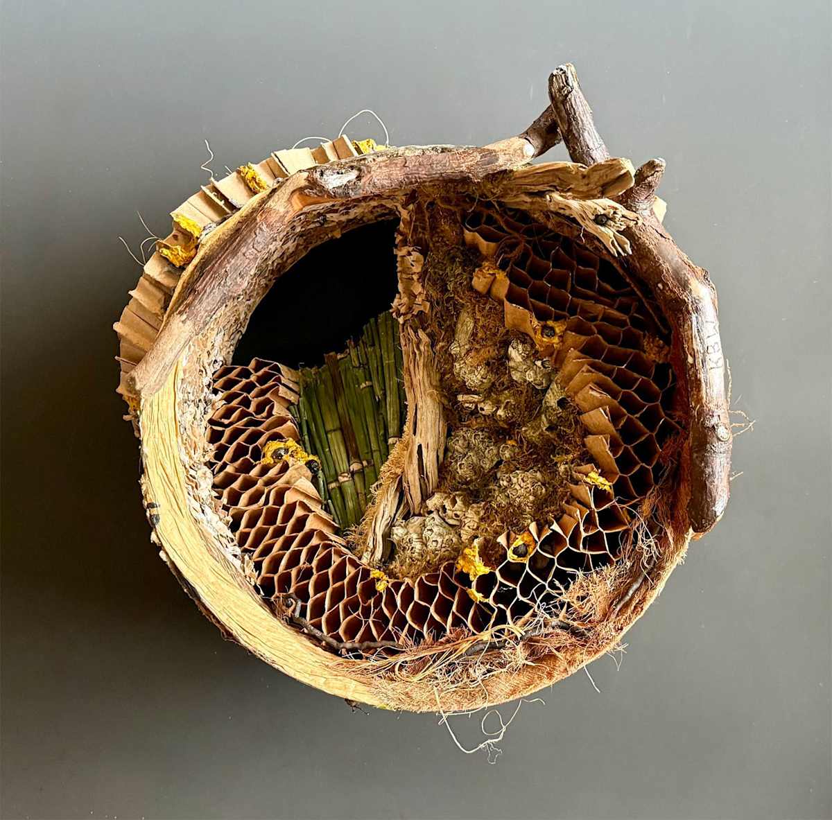 Cylinder by Kathy Bussert-Webb, Image 2.