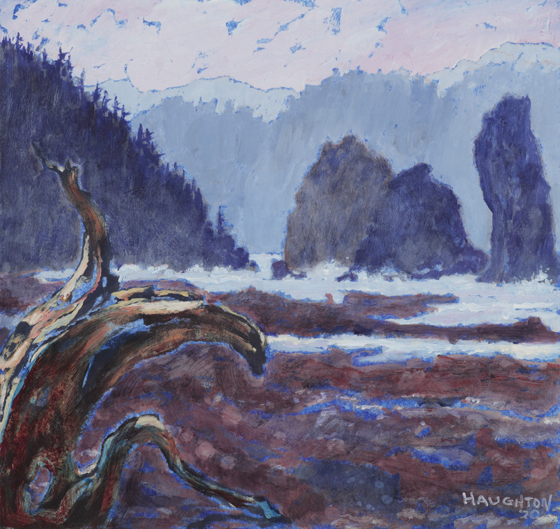 Cape Flattery IV (Cedar Roots) by David Haughton 