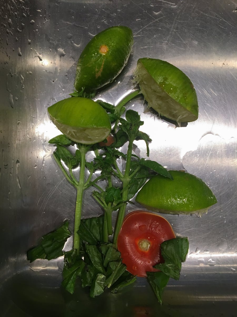 Caprese with lime-ginger cocktails by Maylee Noah 