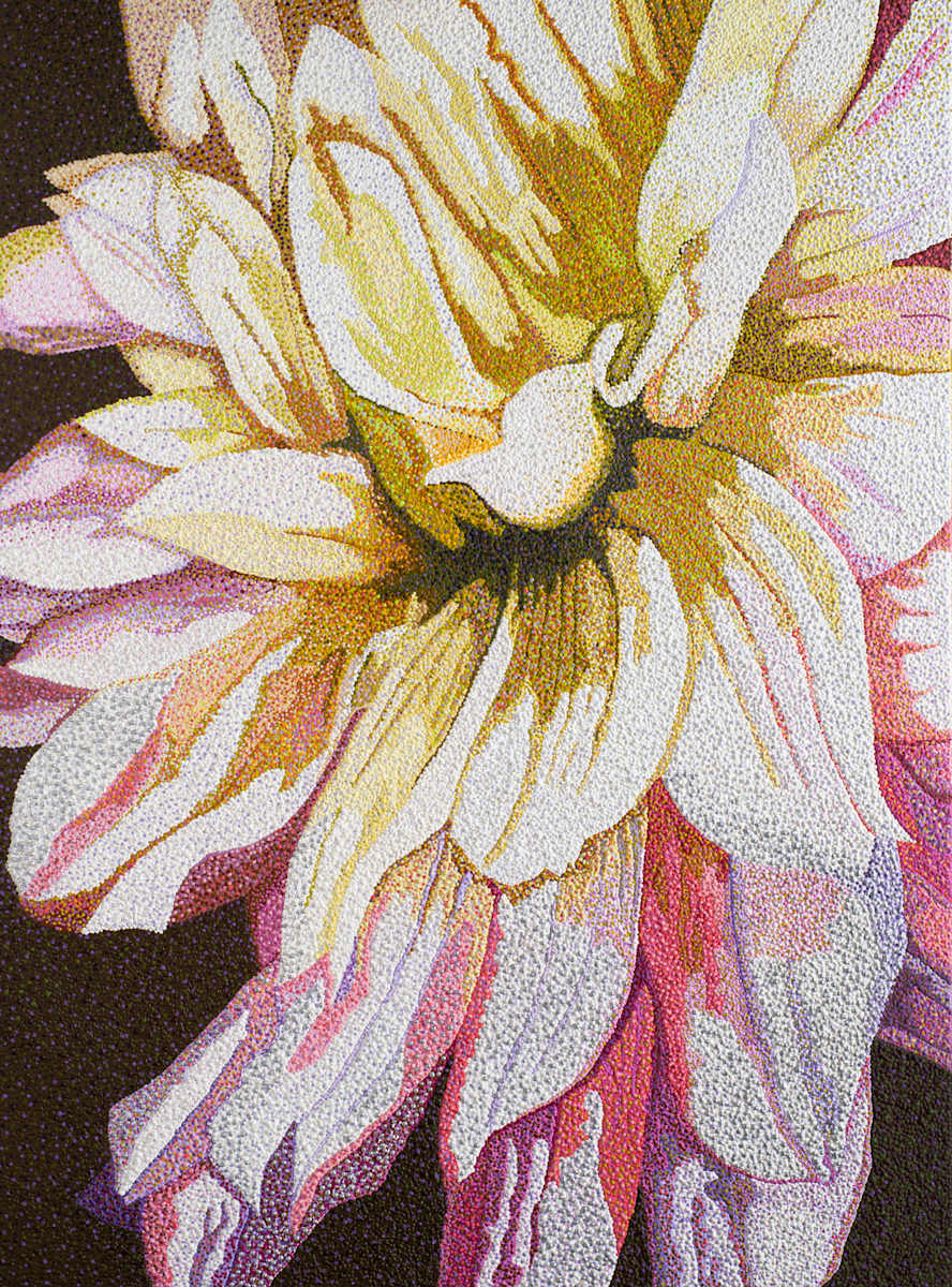Dahlia 1 by Ruth Kapcia, Image 1.