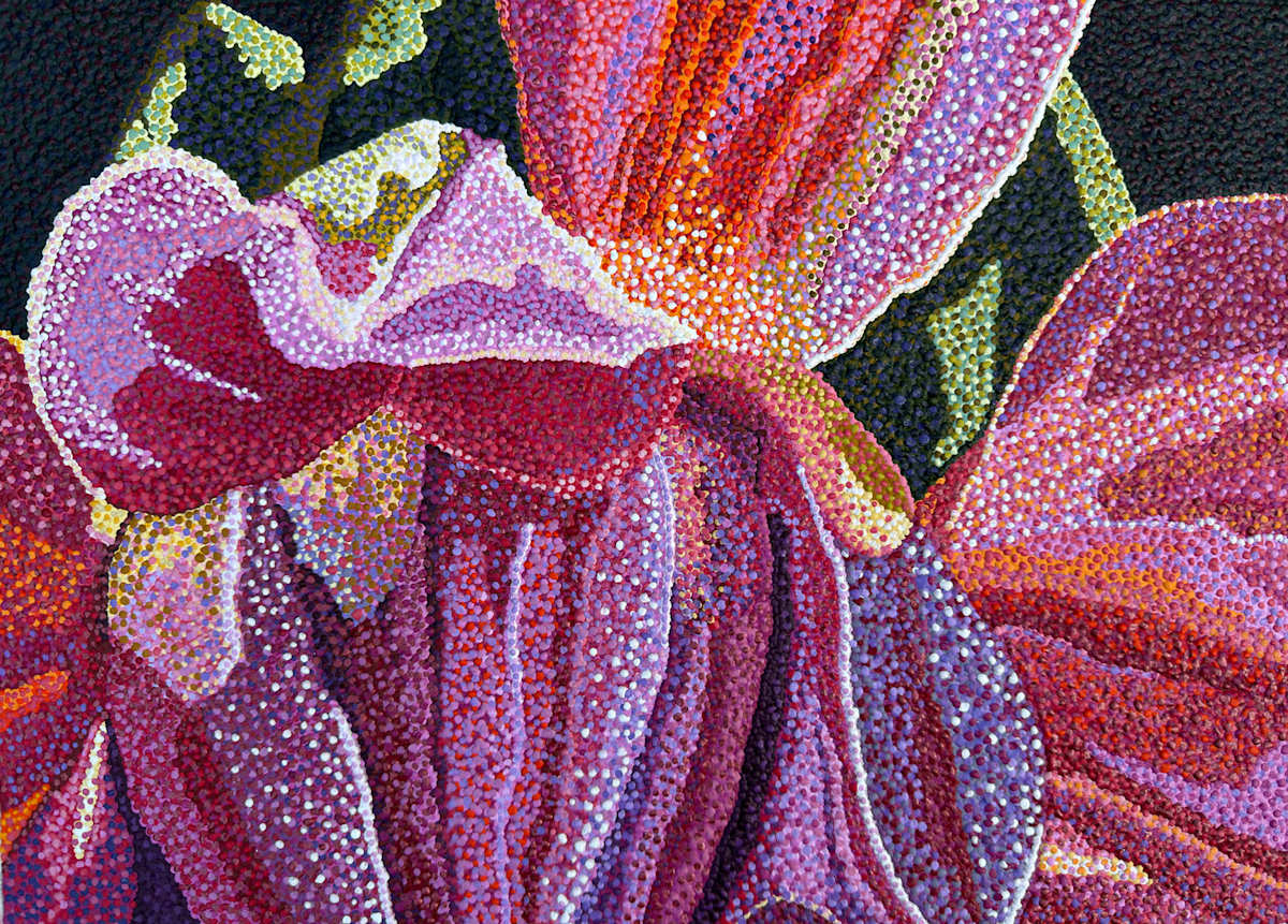 Dahlia 4 by Ruth Kapcia, Image 1.
