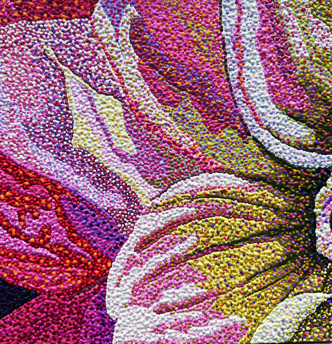 Dahlia 9 by Ruth Kapcia, Image 1.