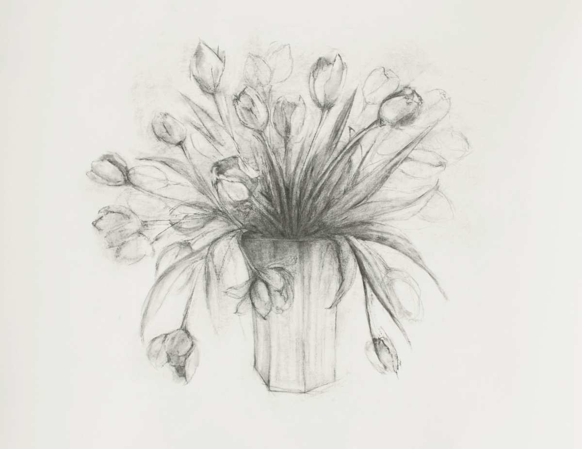 Tulips by Danielle S. Murphy, Image 15.