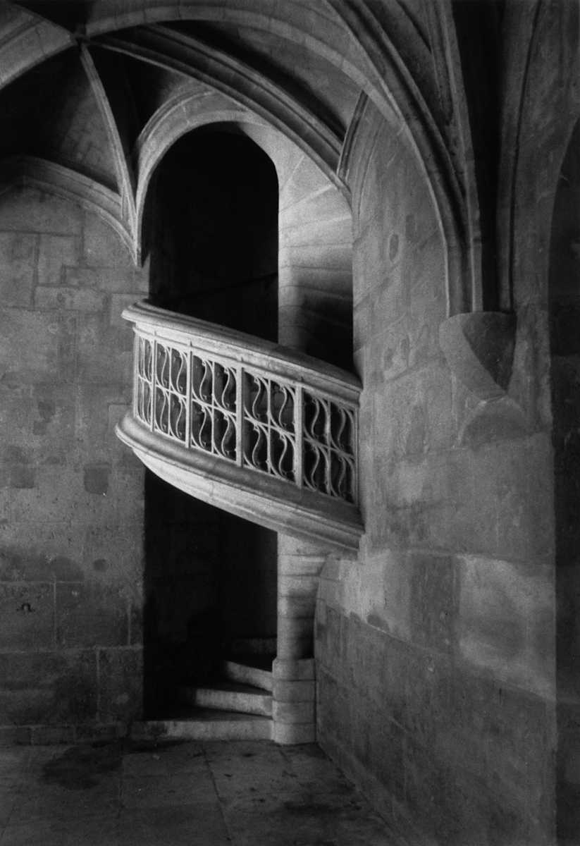 Hôtel de Cluny Staircase by Maylee Noah 