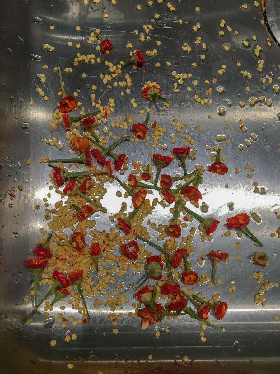 Hot Peppers by Maylee Noah 