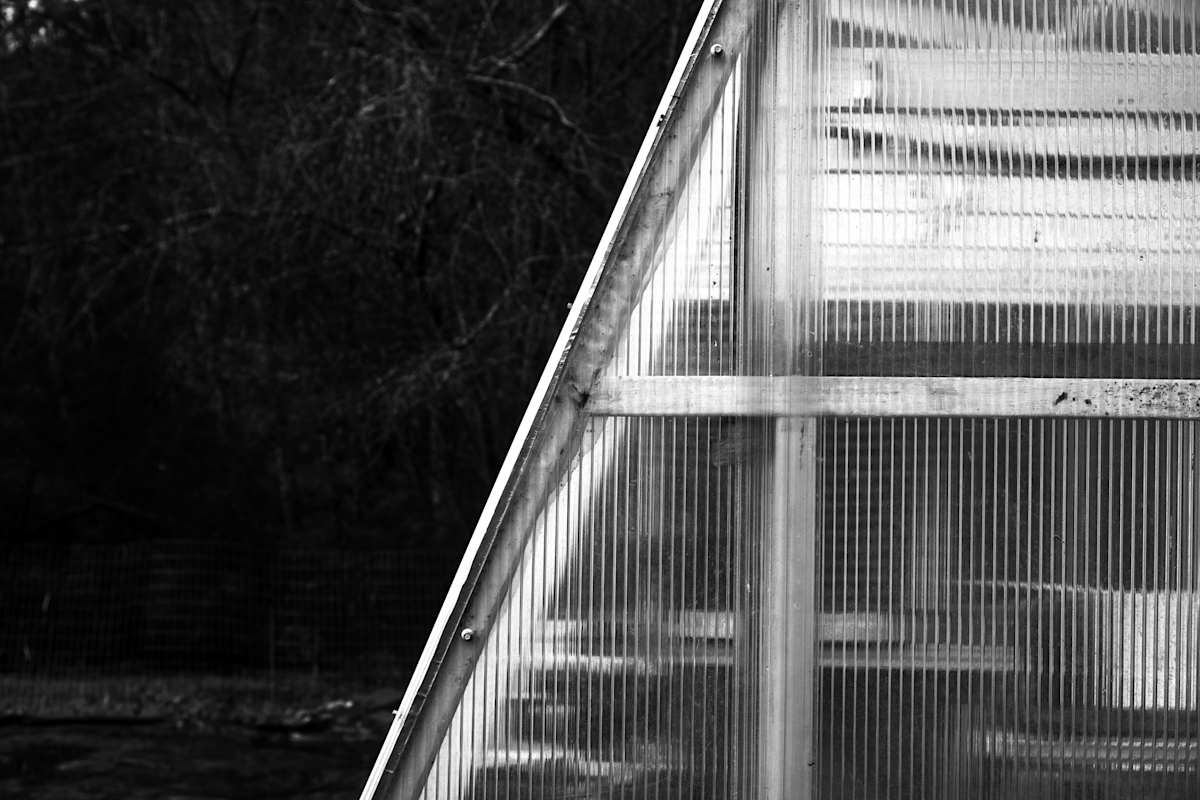 House 2 by Devin Gaan 