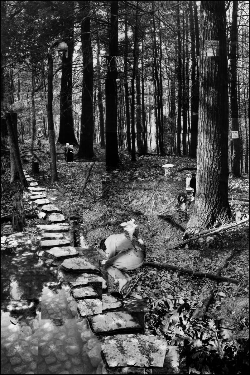 Inside/Out Death by Dorothy Anderson Wasserman 