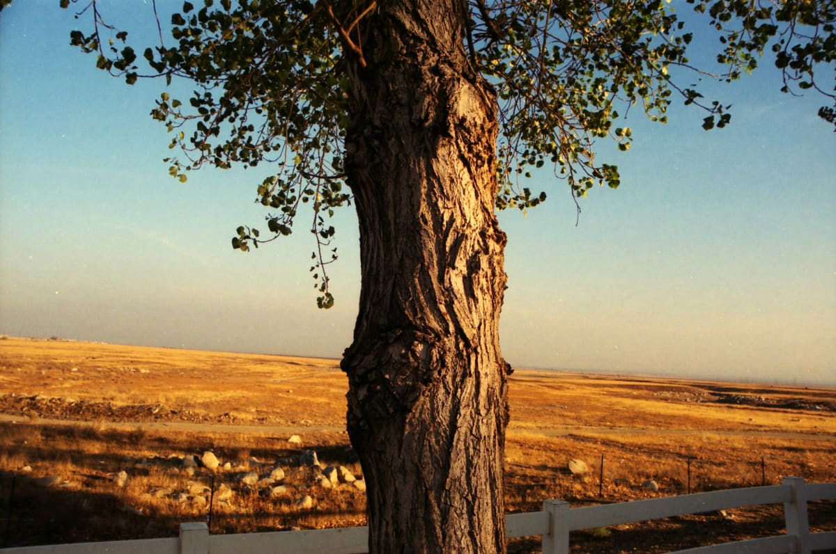 The Right Decision by Nathan Vass 