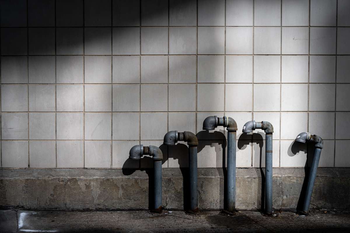 Meerkats by Devin Gaan 