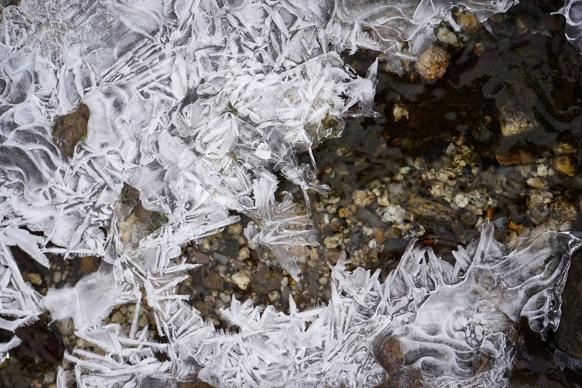 Ice 6 by Maylee Noah 