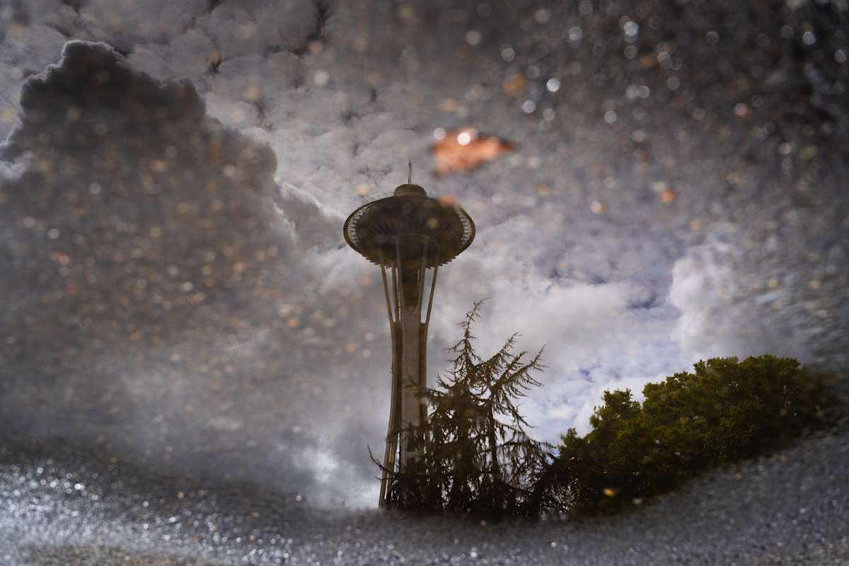 Reflecting Needle by Devin Gaan 