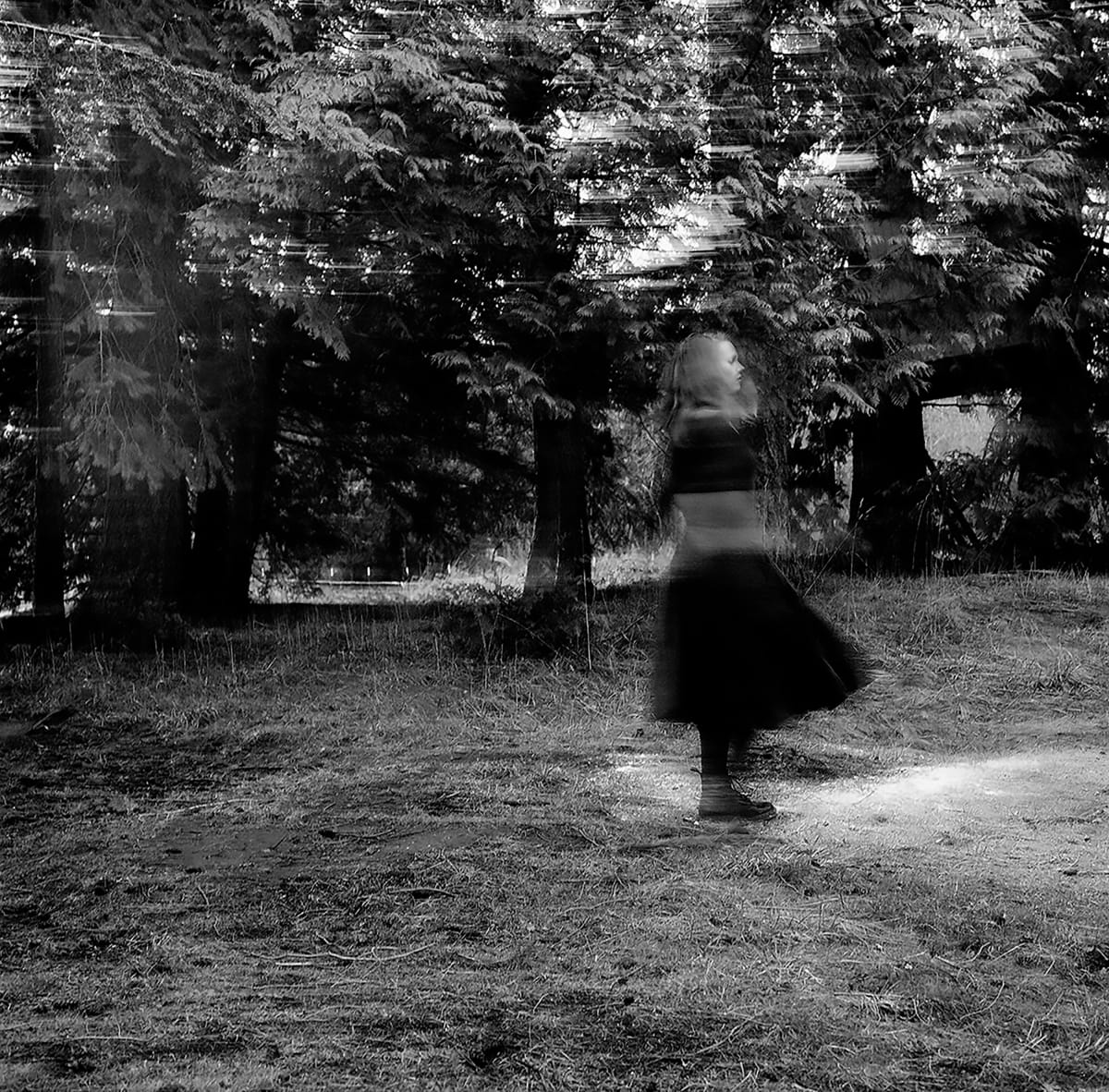 untitled #3 (either way it will vanish) by Alethea Robbins 