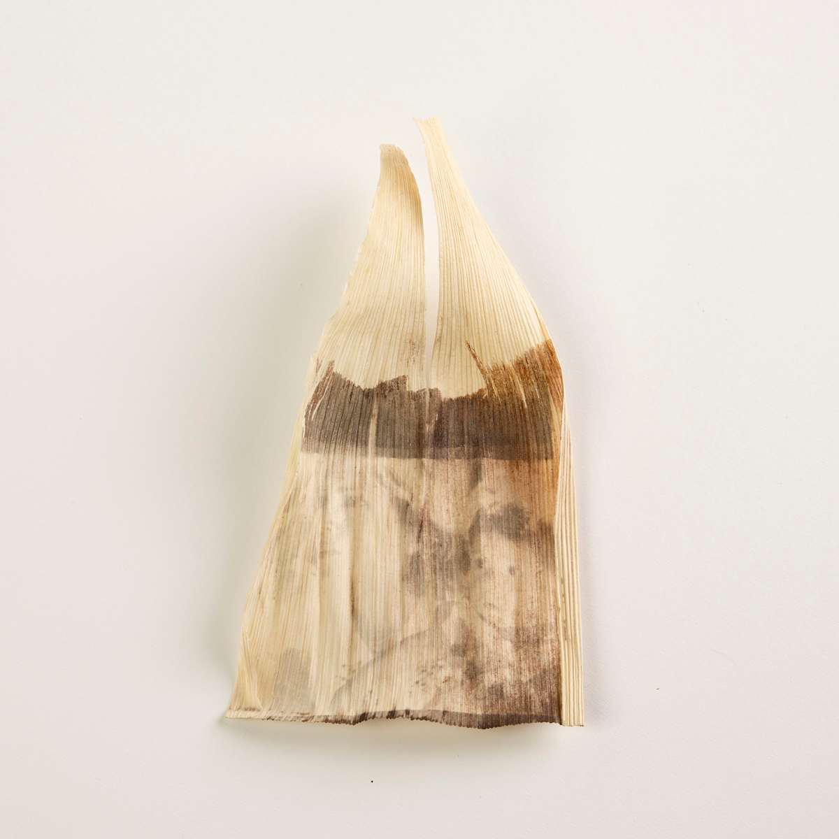 My Mom and I by Stevie Salcido 