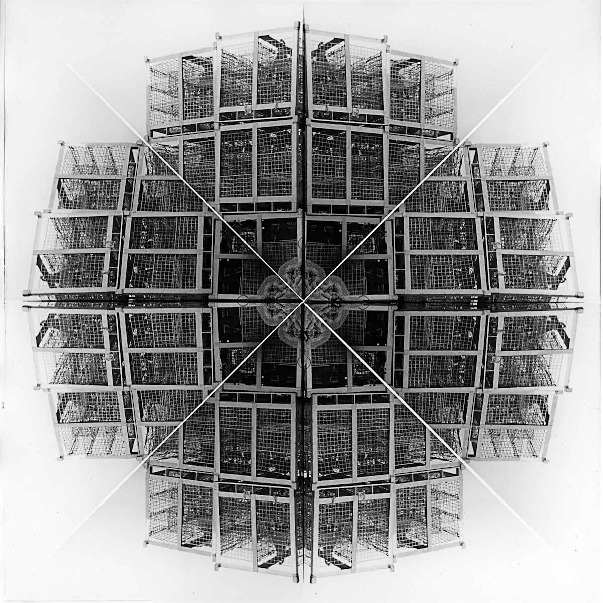 Snowflake 5 by Devin Gaan 