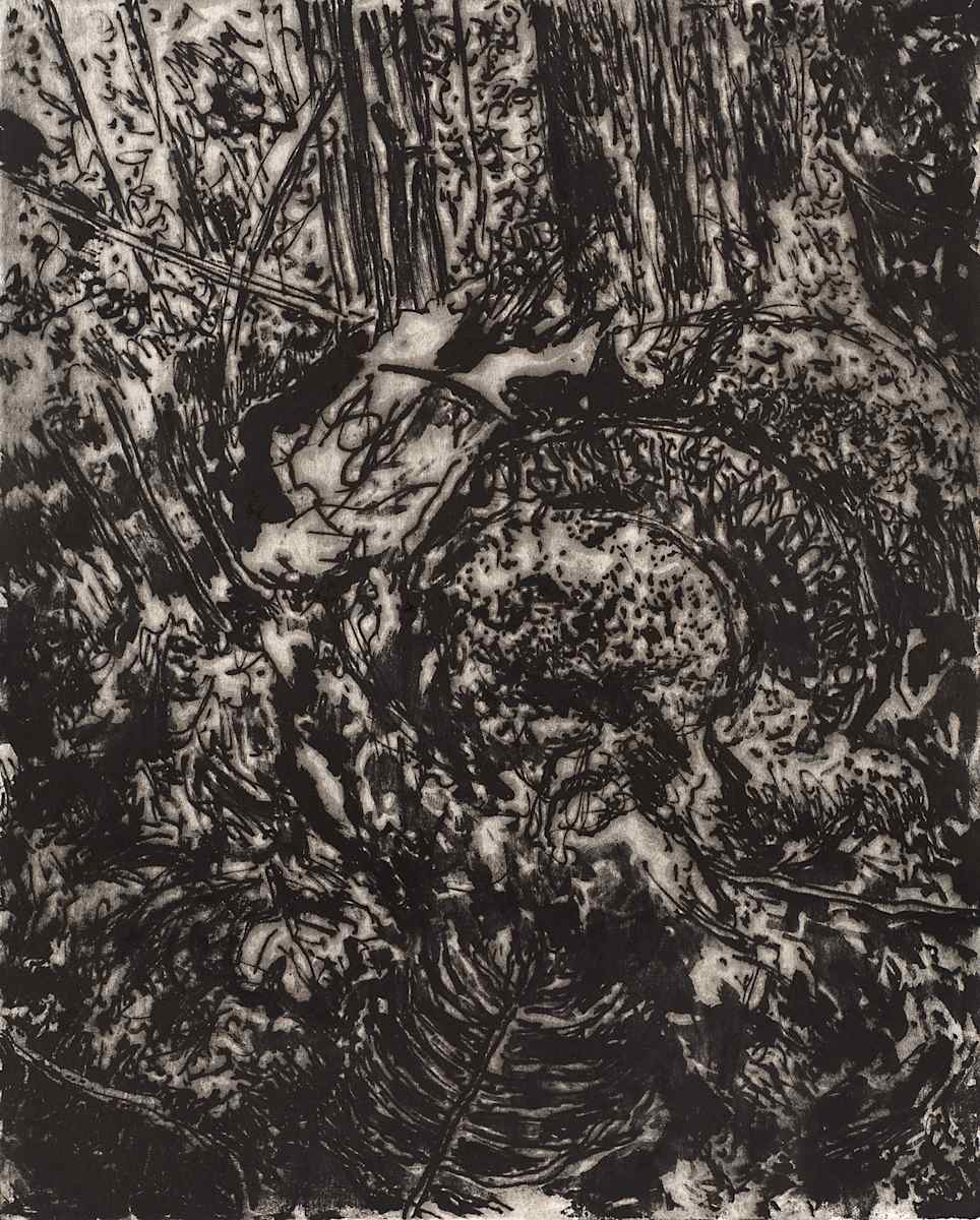 Density by Sheila Sondik 