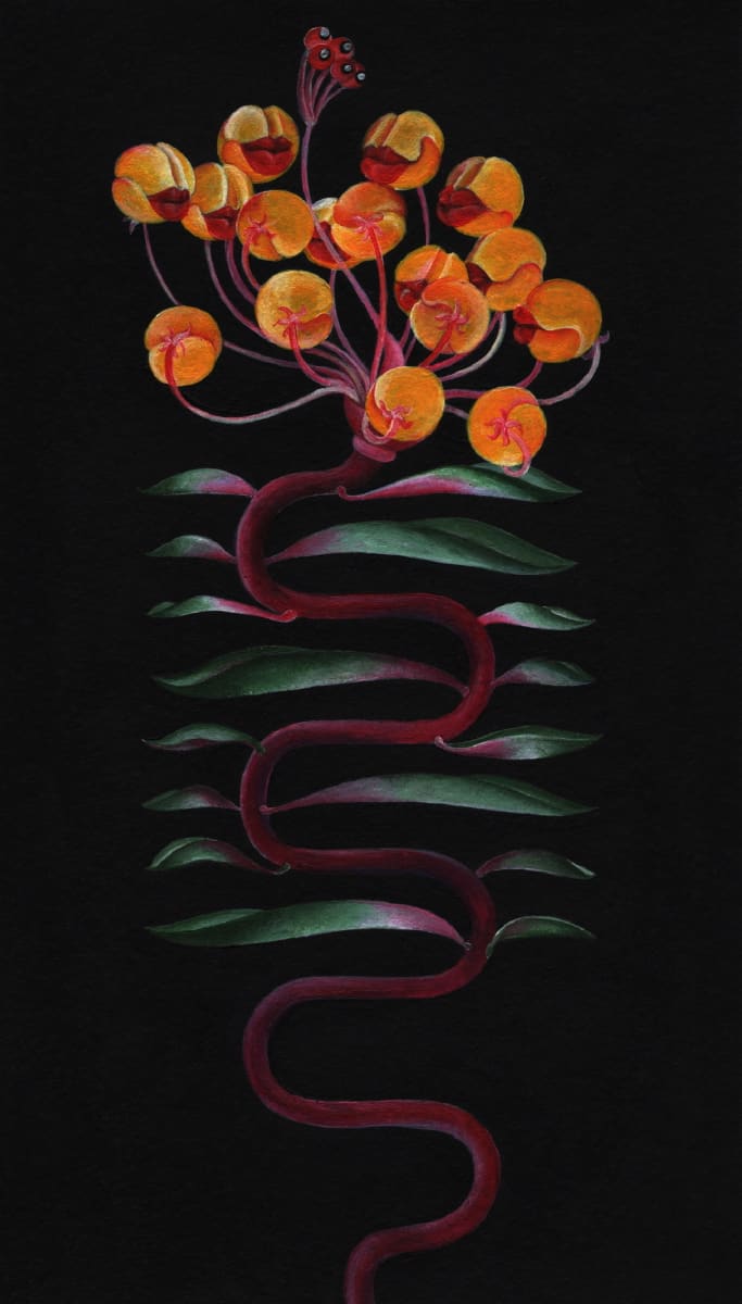 Untitled #02 by Suneeva Saldanha 