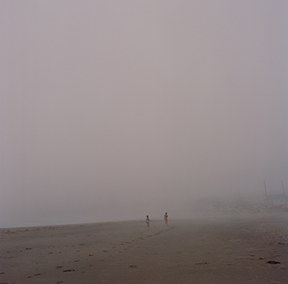 fog by Alethea Robbins 