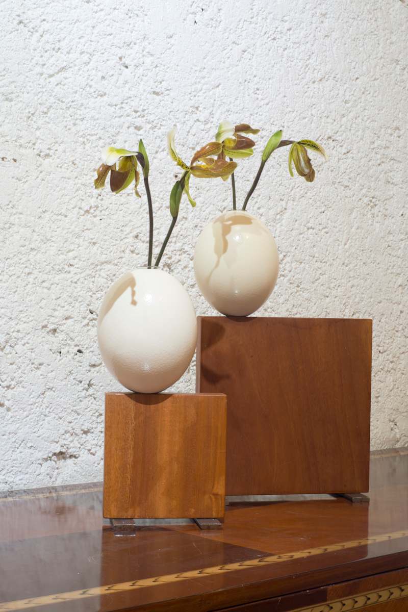 Brotes by Gabriel Sanchez Viveros, Image 1.