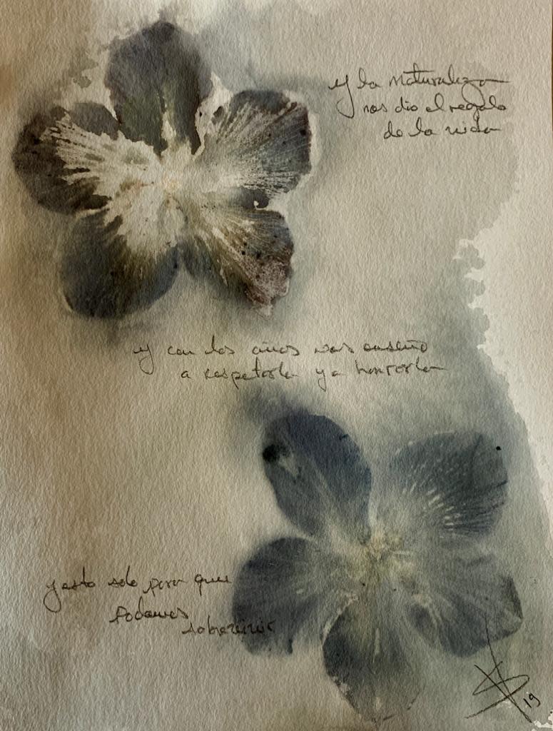 El Regalo de la Vida by Gabriel Sanchez Viveros 