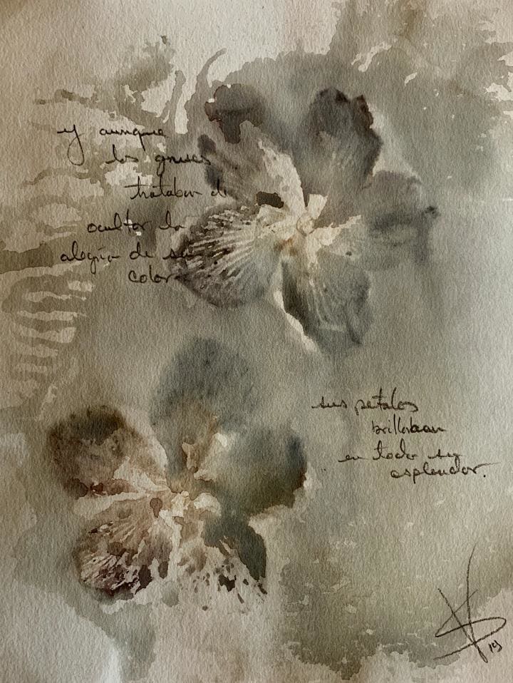 Los Grises by Gabriel Sanchez Viveros, Image 1.