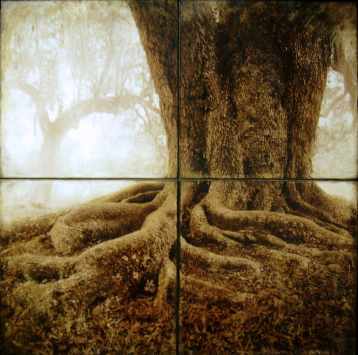 Touching Earth by Michael West 