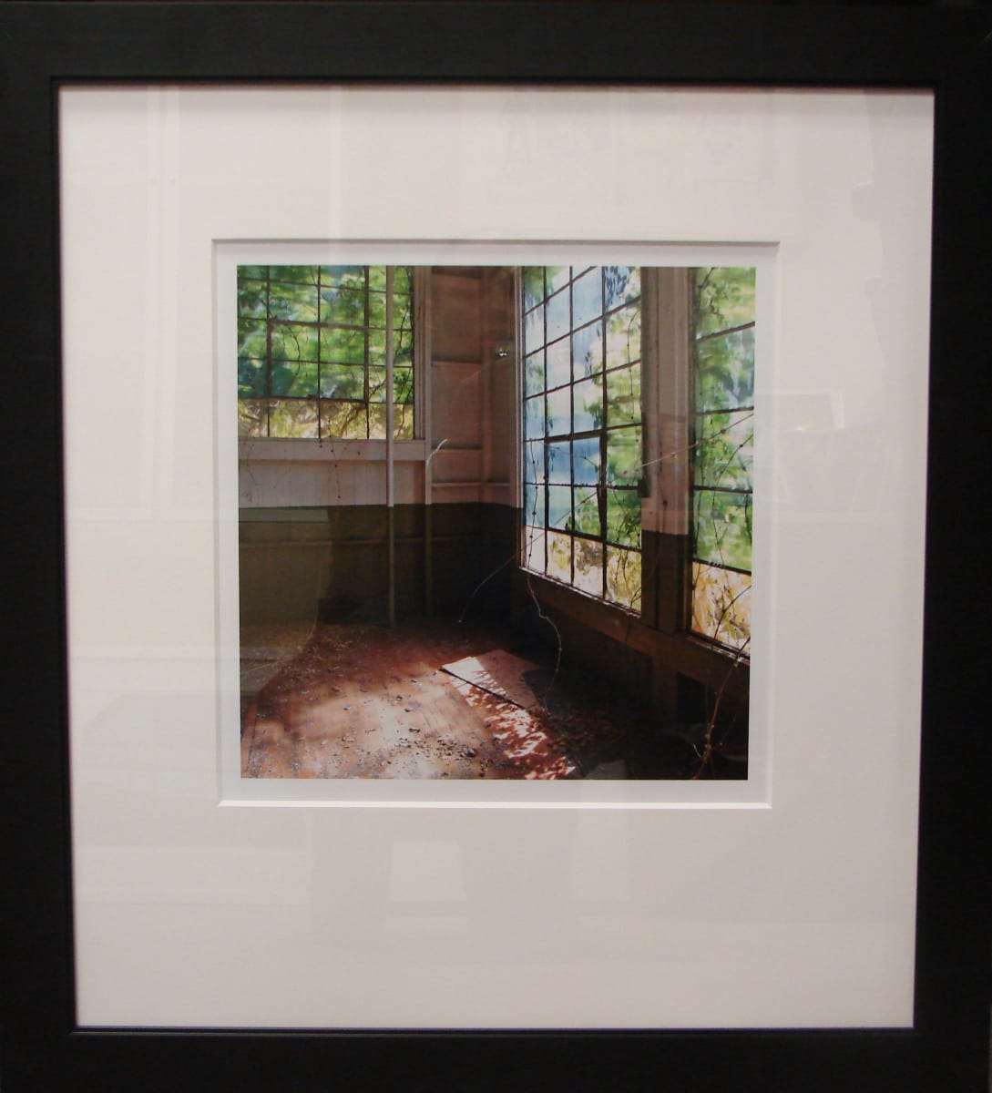 Cathedral by Michael West, Image 1.