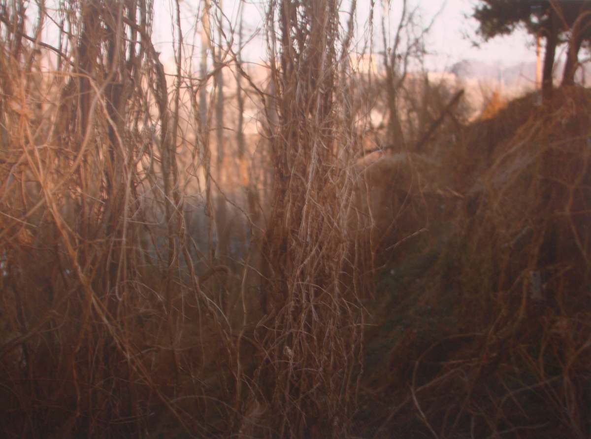 This Is Nowhere, #1 by Dawn Roe, Image 1.