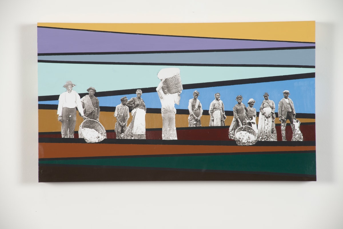 The Family Cotton by Antoneisha Harper 