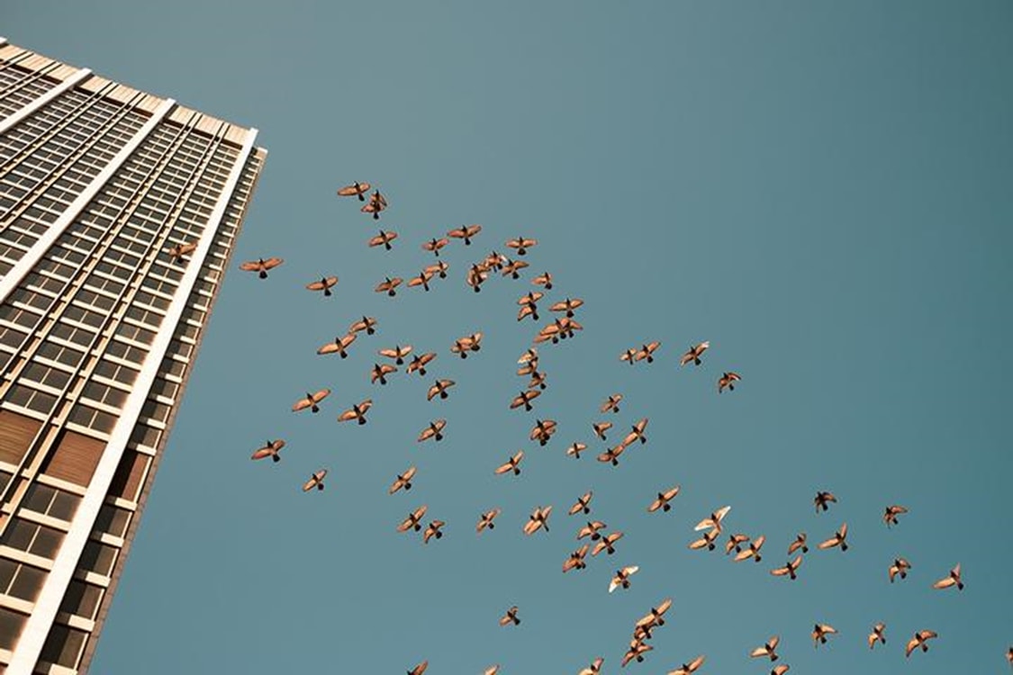 Ascension by Evelyn Quiñones, Image 1.