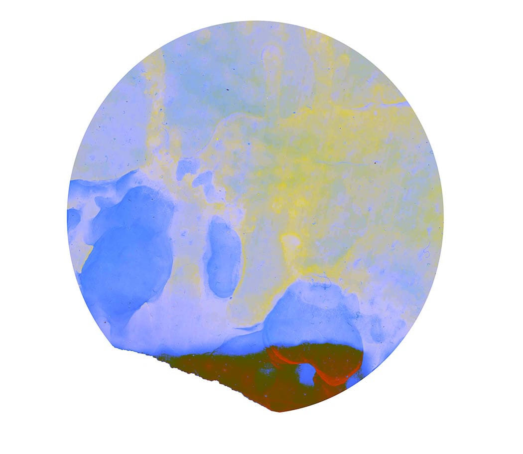 Echo V by Hannah Pasedag 