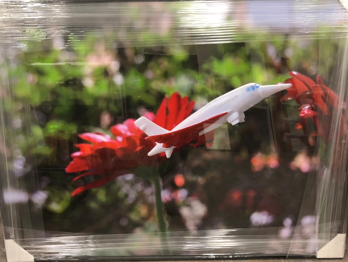 Inches Above Earth Series "Approximate Altitude ? Inches " (Red & White Jet in front of Red Flowers) by Michael Reese 