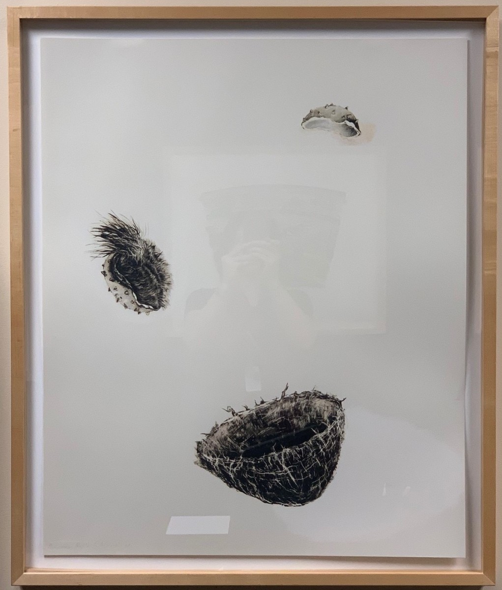 Trace (Caversham - Journey) by Rosemarie Marriott 