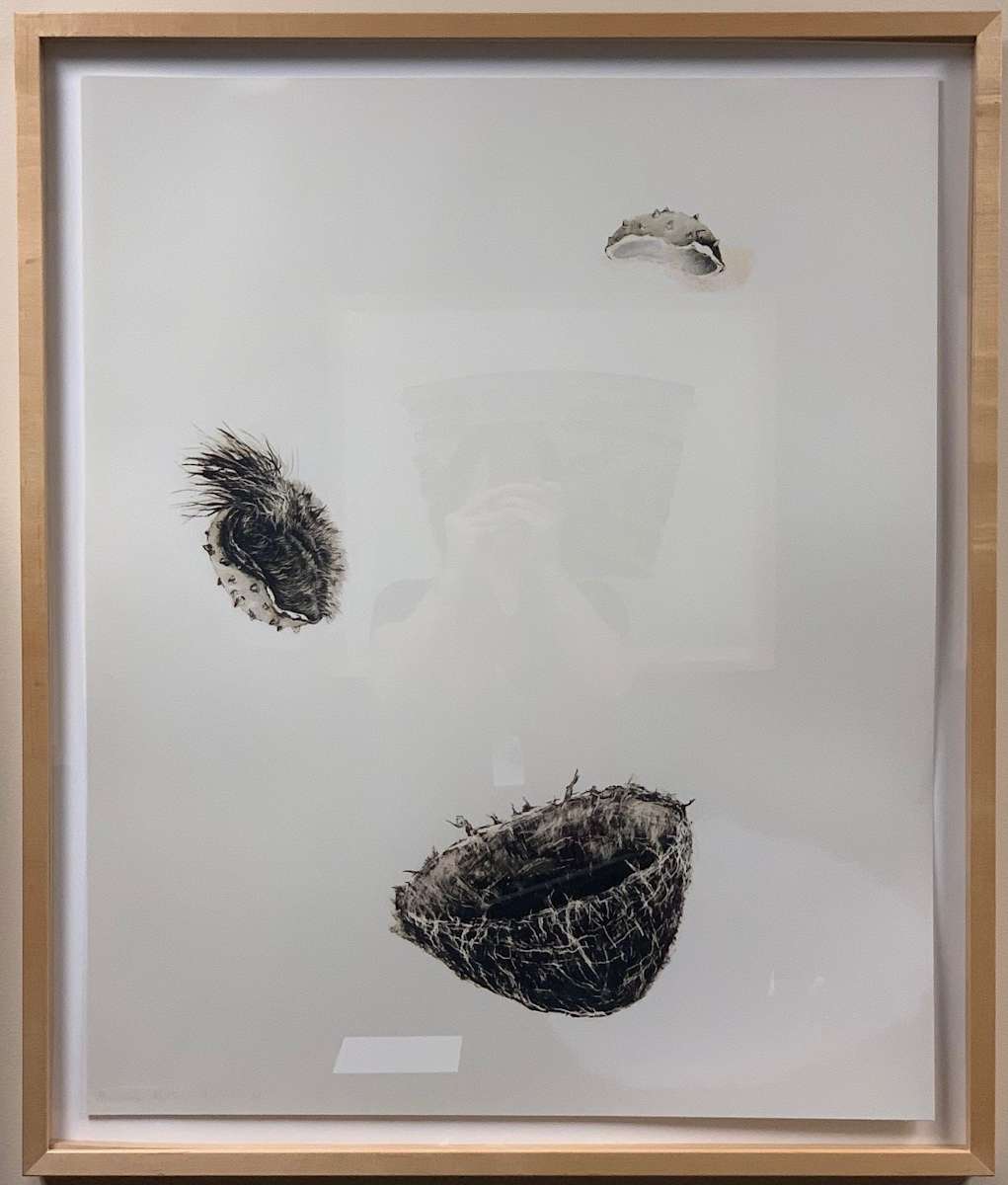 Trace (Caversham - Journey) by Rosemarie Marriott, Image 1.