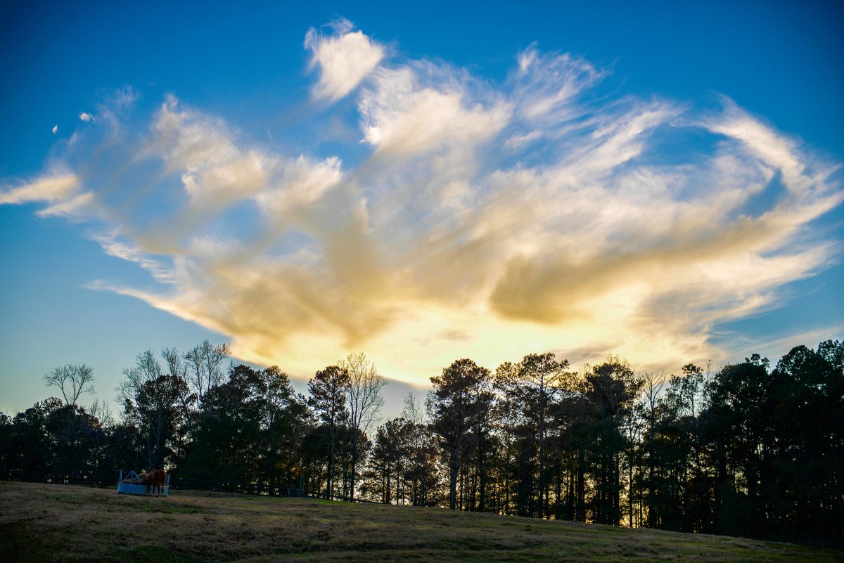 Clouds: New Urbanism Series -  Chattahoochee Hills by Richard DuCree 