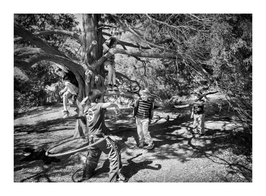 The Happy Tree by Robin Canty 