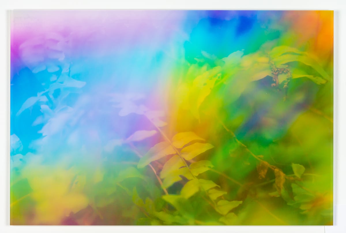 Joyful by Erica Angelica 