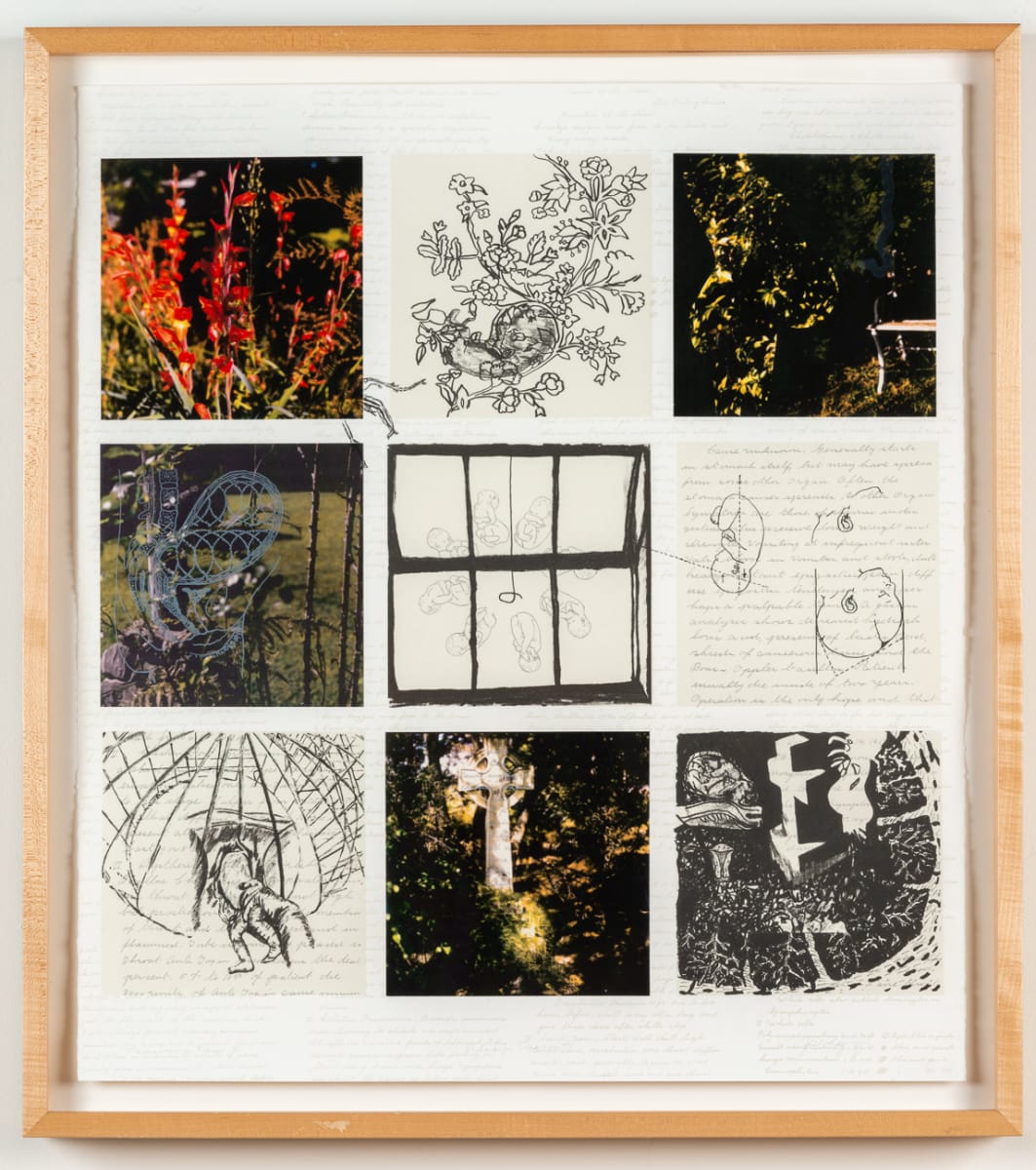 Always Present (Caversham - Journey) by Jillian Larson 