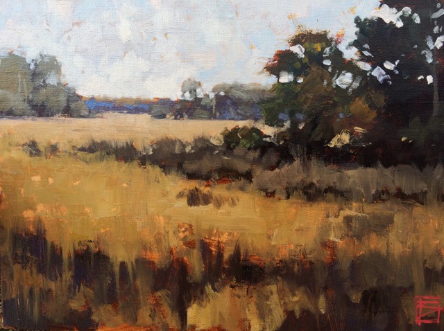 Marsh, Fall by David Boyd Jr 