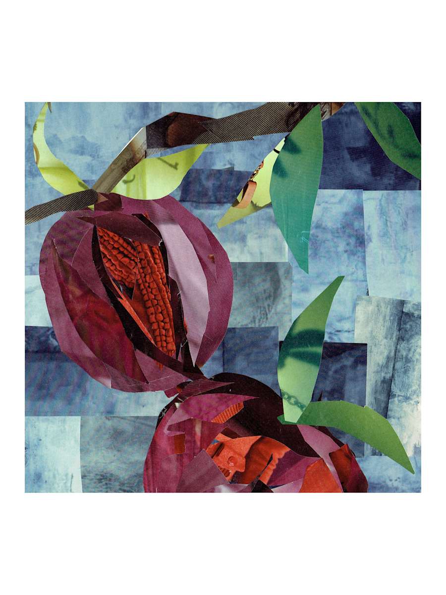 Pomegranate by Liberty Worth 