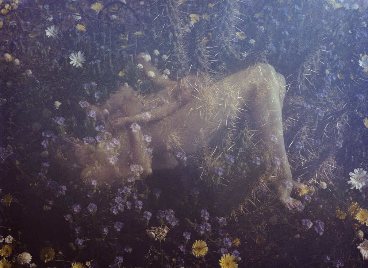Untitled Patrick Fraser by Patrick  Fraser 