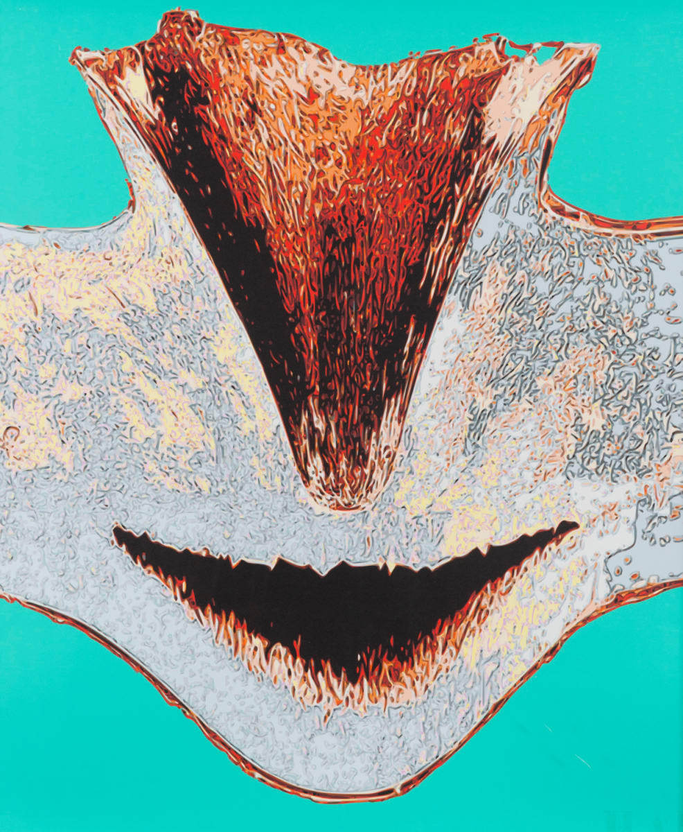 Deep Impact by Halliday Wilson, Image 1.