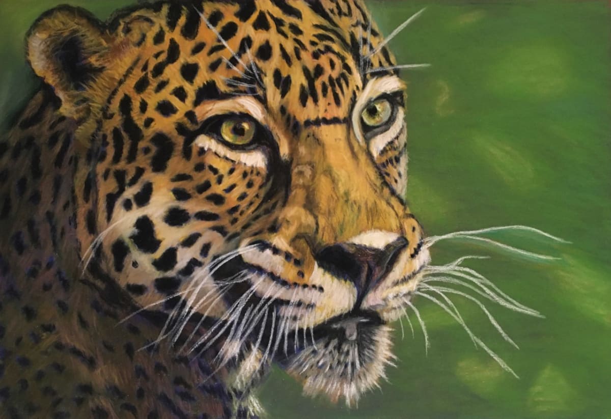 The Leopard by Cindy Berceli 