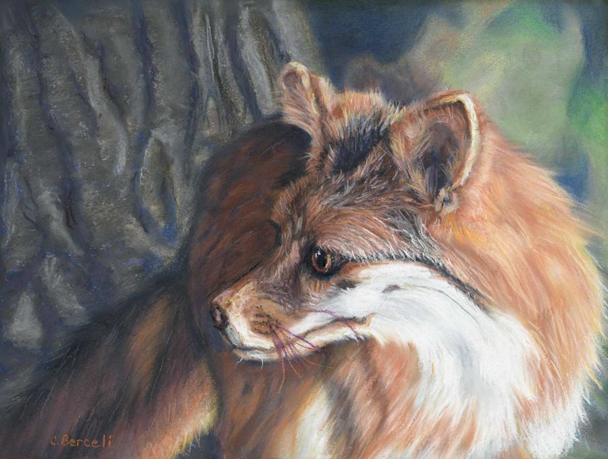 *Finicky Fox by Cindy Berceli 