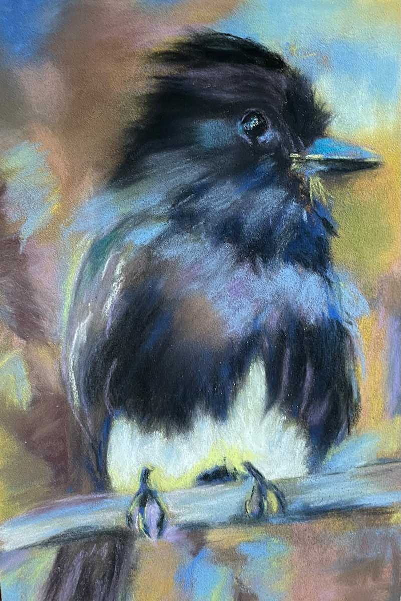 'Phoebe' by Cindy Berceli 