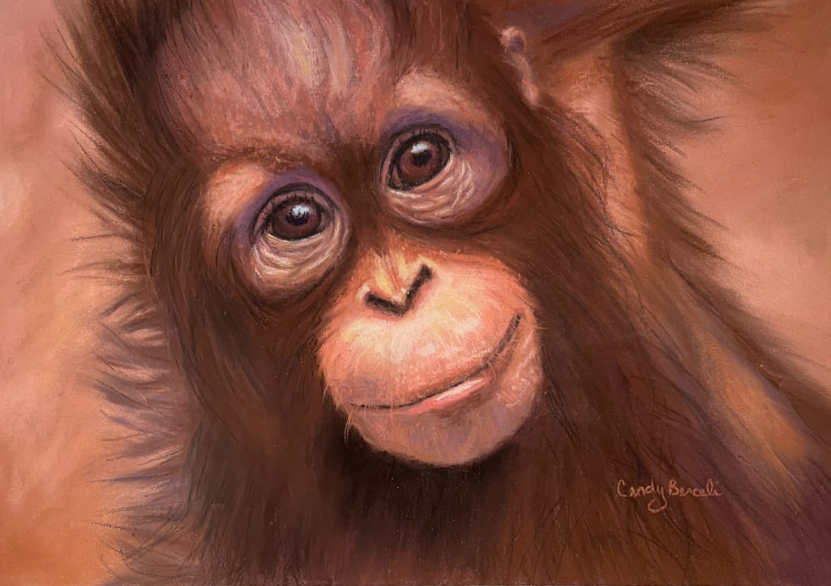 Little Orangutan by Cindy Berceli 