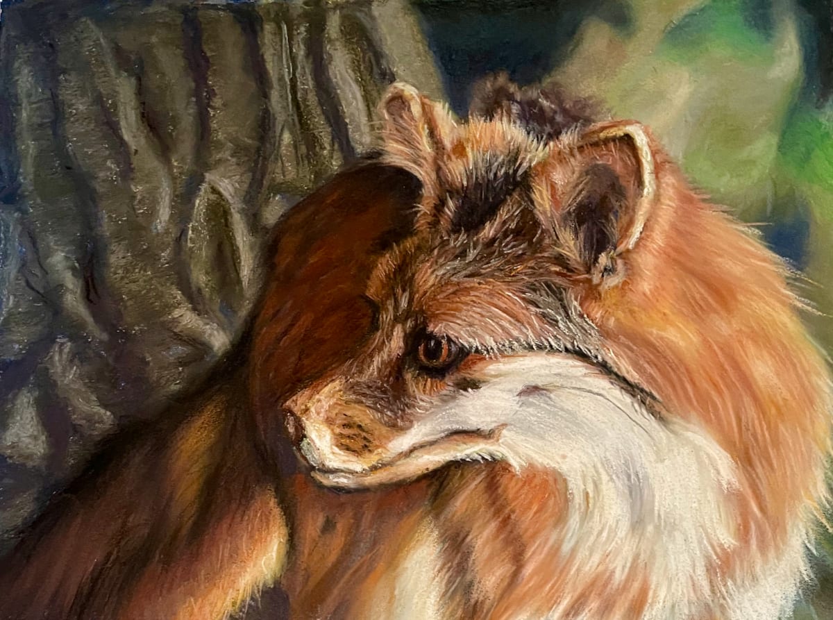 Fabulous Fox by Cindy Berceli 