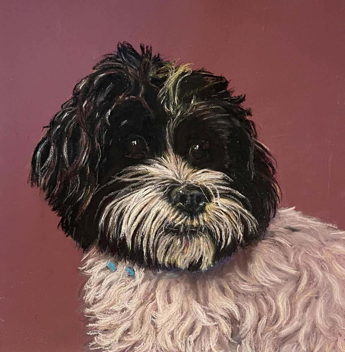 Tux   (Tuxedo) by Cindy Berceli 